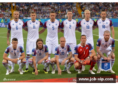 冰岛世界杯之旅:球员与荣耀 冰岛世界杯之旅:球员与荣耀