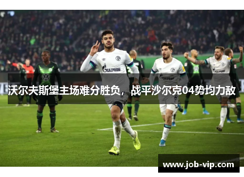 沃尔夫斯堡主场难分胜负，战平沙尔克04势均力敌