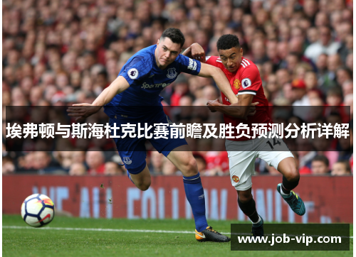 埃弗顿与斯海杜克比赛前瞻及胜负预测分析详解
